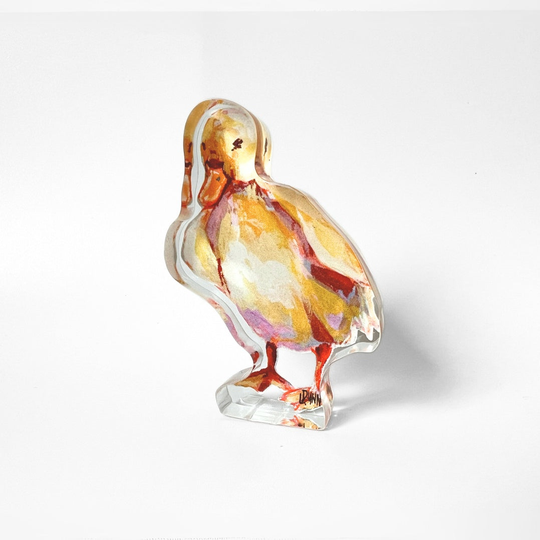 Duckling 1 Acrylic Collection