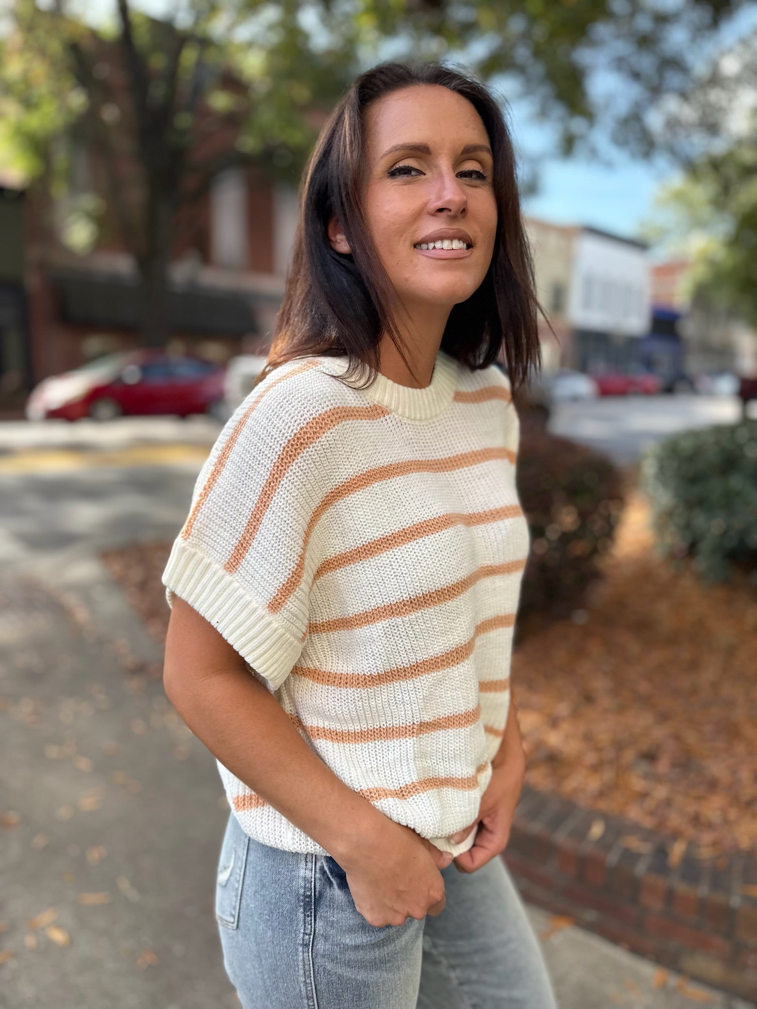 Summer Stripes Short Sleeve Sweater Vest