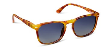Palmer Polarized Sun - Amber Tortoise