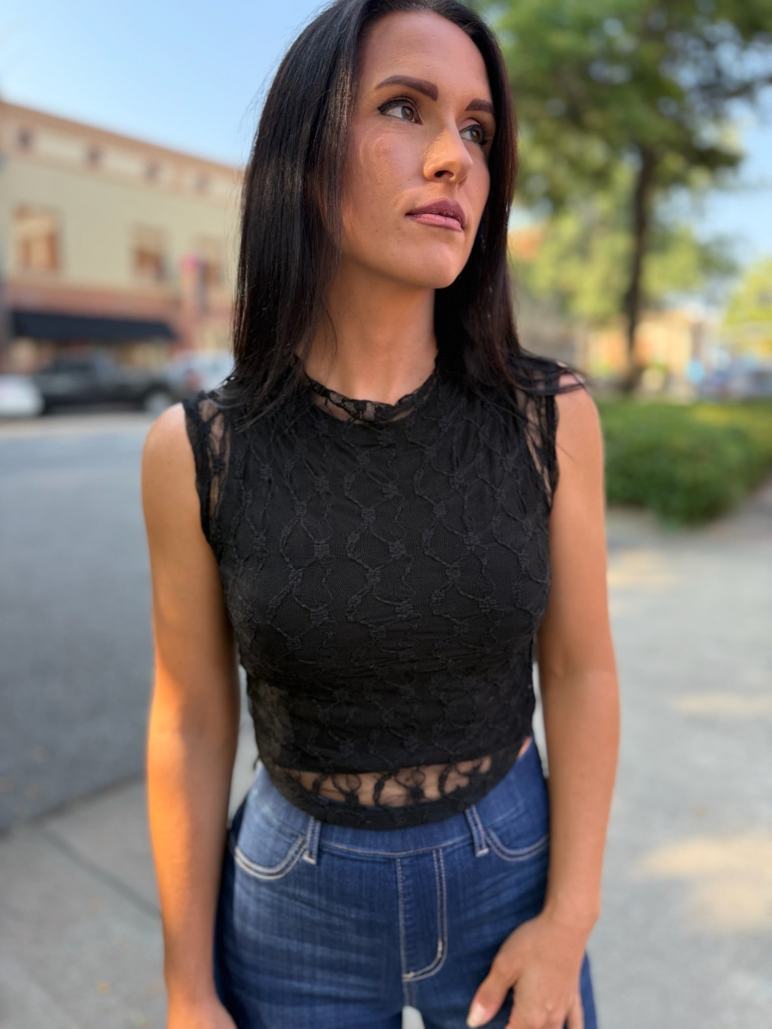 Black Chic Sheer Lace Top