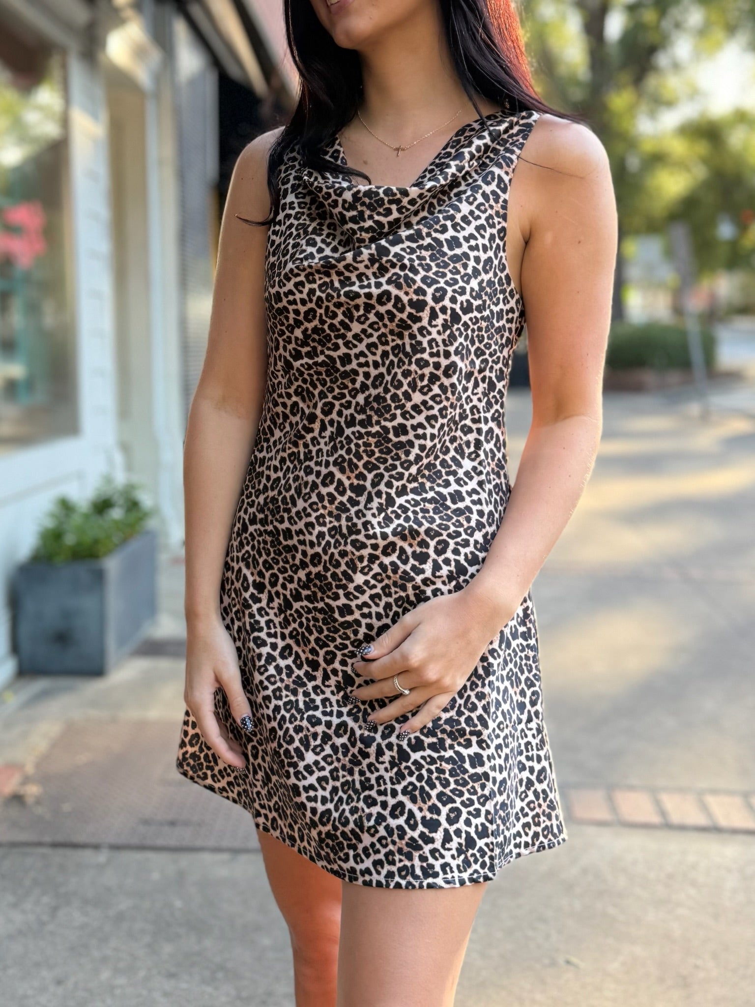 Taupe Combo Animal Print Cowl Neck Fit & Flare Dress
