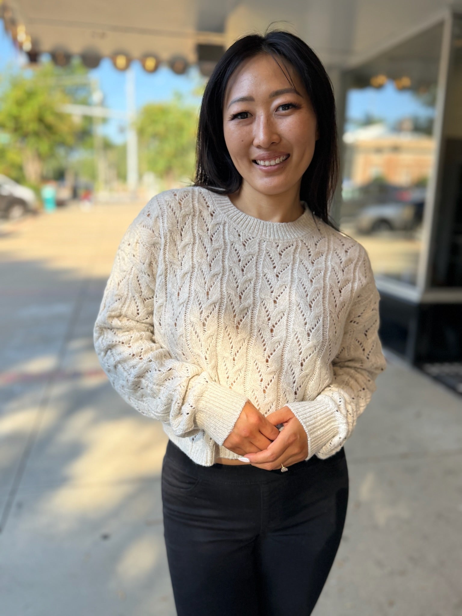 Cream Elegant Long-Sleeve Flocked Mesh Top
