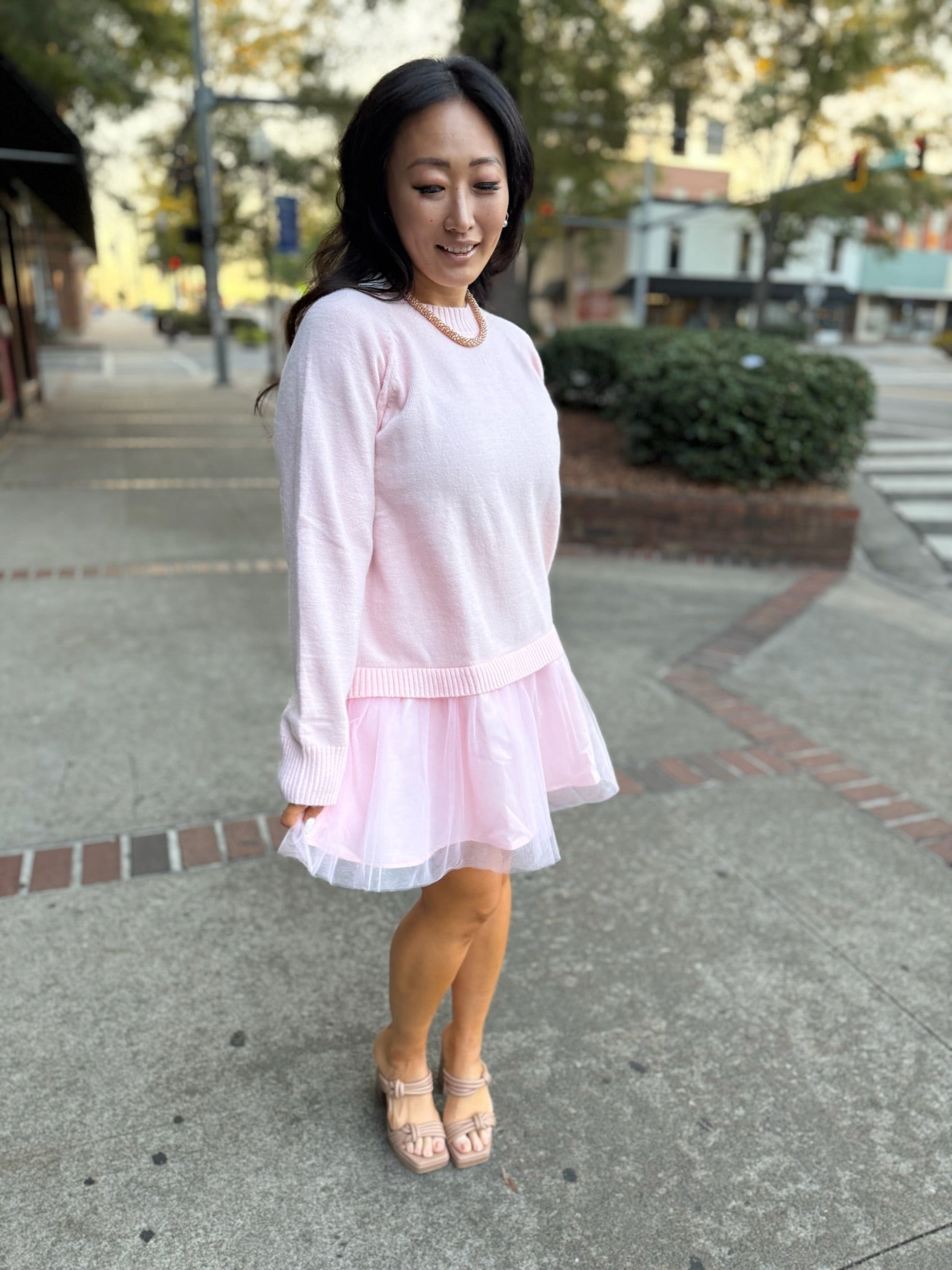 Ballet Blush Knit Dress