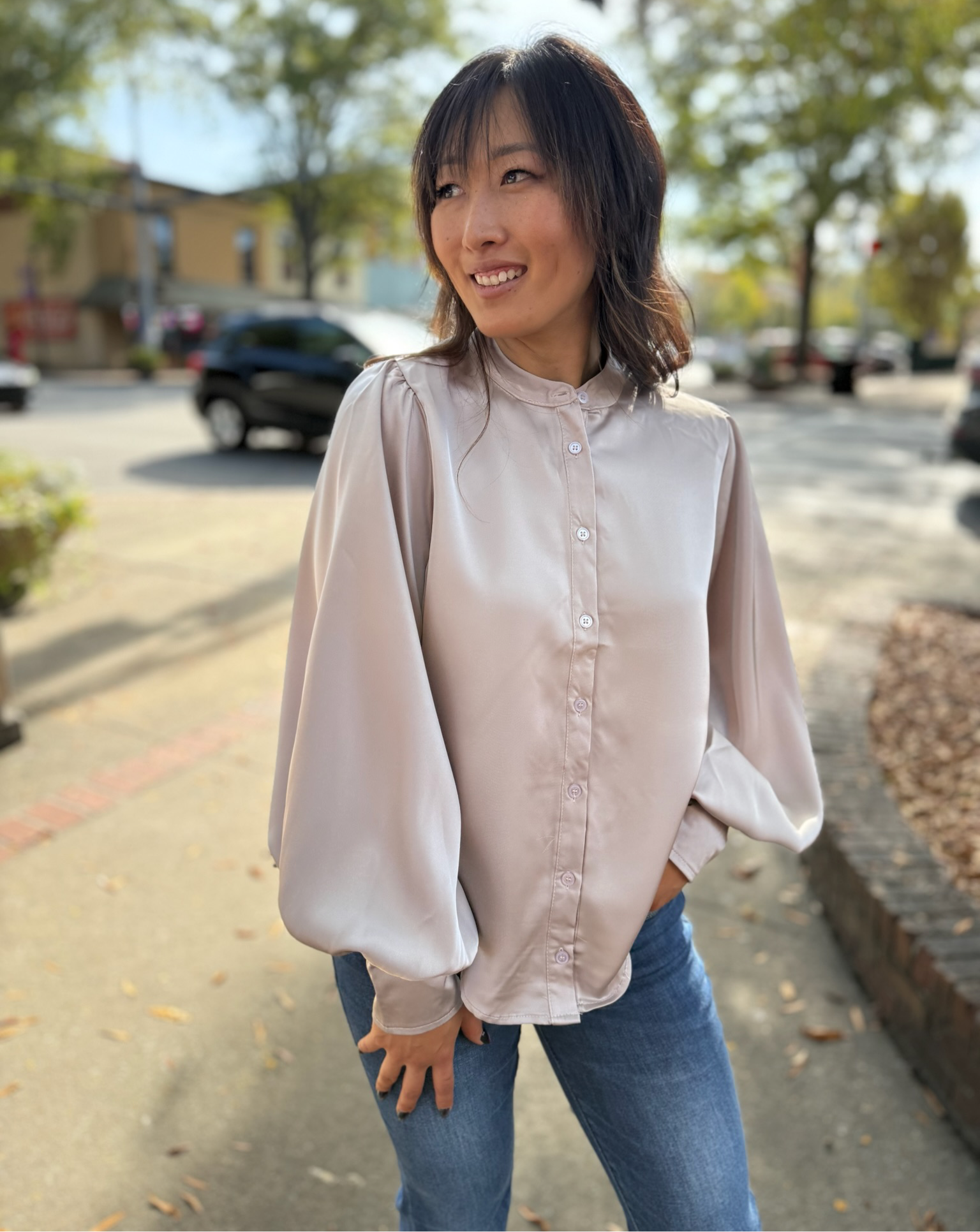 Chic Band Collar Button-Front Blouse