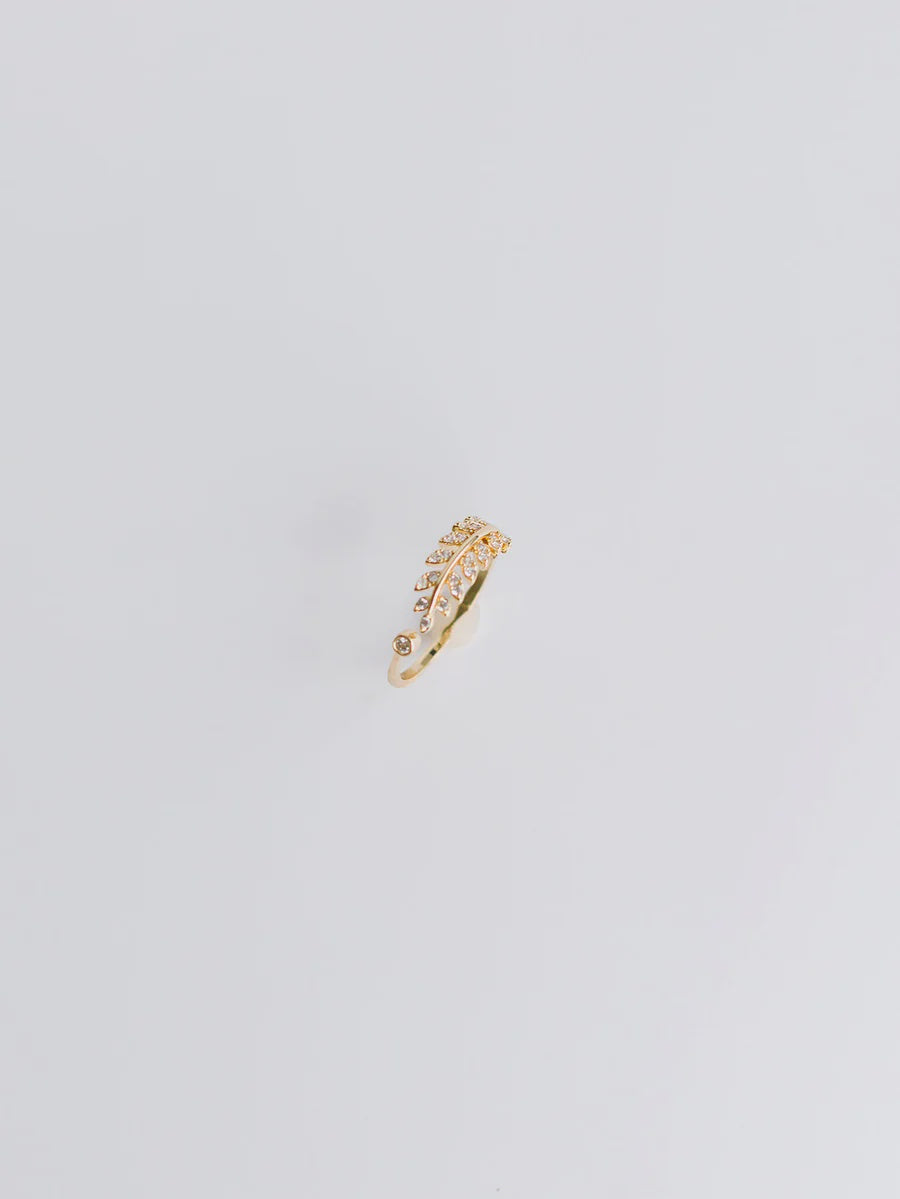 Larissa Ring