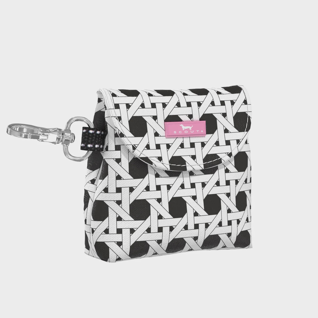 Best Bud Earbud Case - Cane Fonda