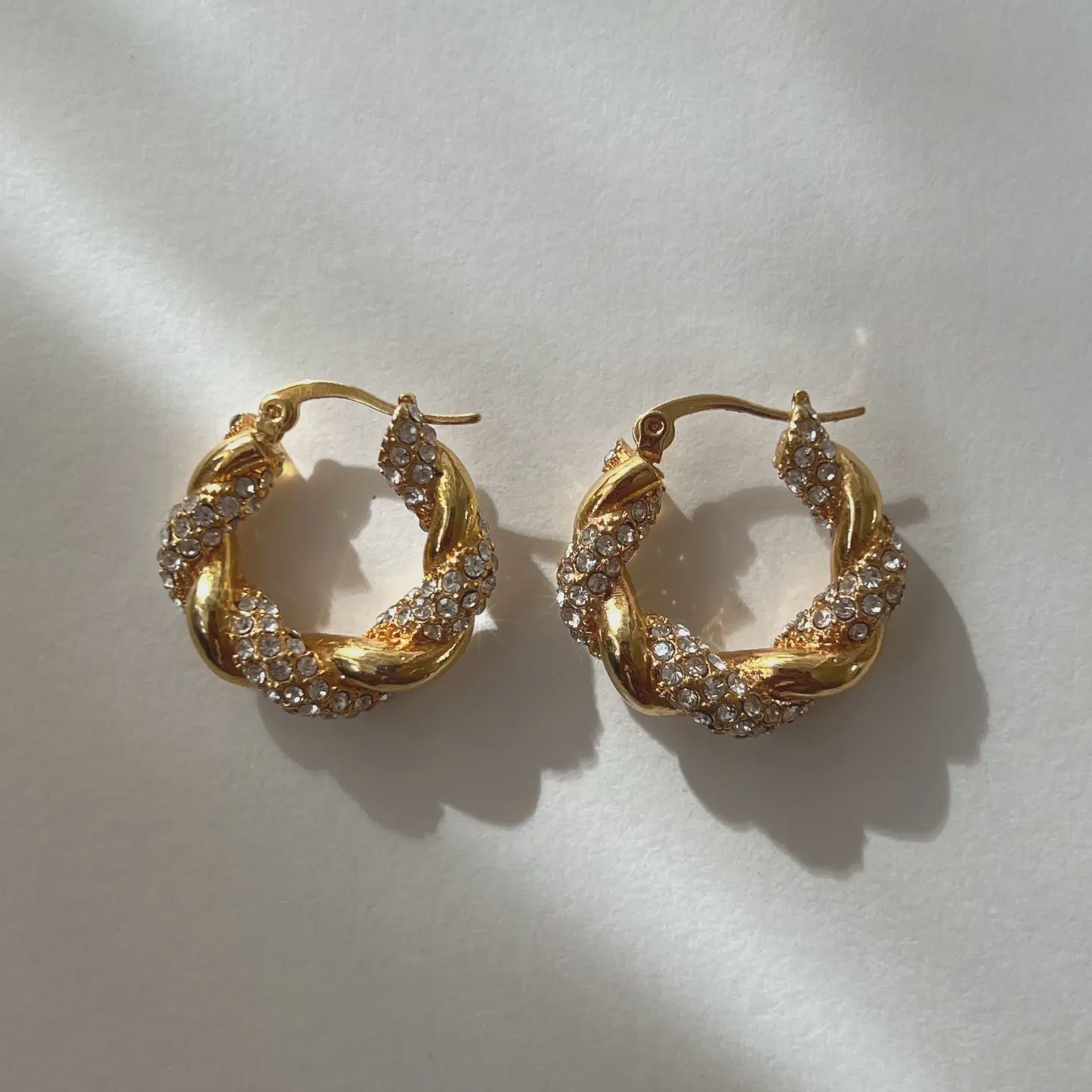 Francine Hoops